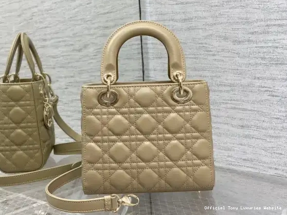 Tony Luxuries diro Lady Small Calfskin-20-16.5-8CM 0504